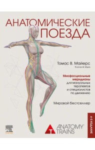 Анатомические поезда