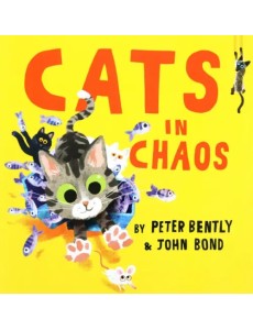 Cats in Chaos