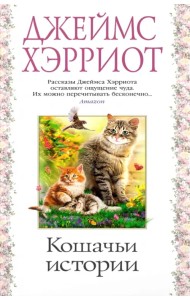 Кошачьи истории