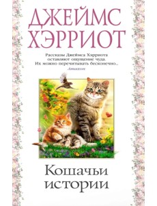 Кошачьи истории Кошачьи истории