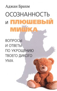 Осознанность и плюшевый мишка. Вопросы и ответы по укрощению твоего дикого ума