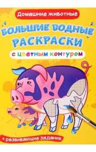 Домашние животные. Водная раскраска с цветным контуром + развивающие задания