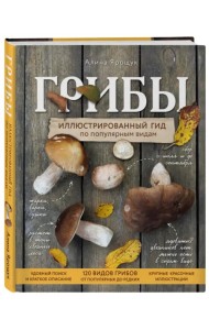 Грибы. Иллюстрированный гид по популярным видам