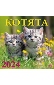 2024 Календарь Котята