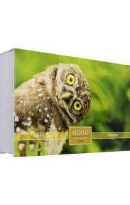 Пазлы-500 Legend. ZooStyle. Мудрая сова