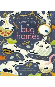 Peep Inside. Bug Homes